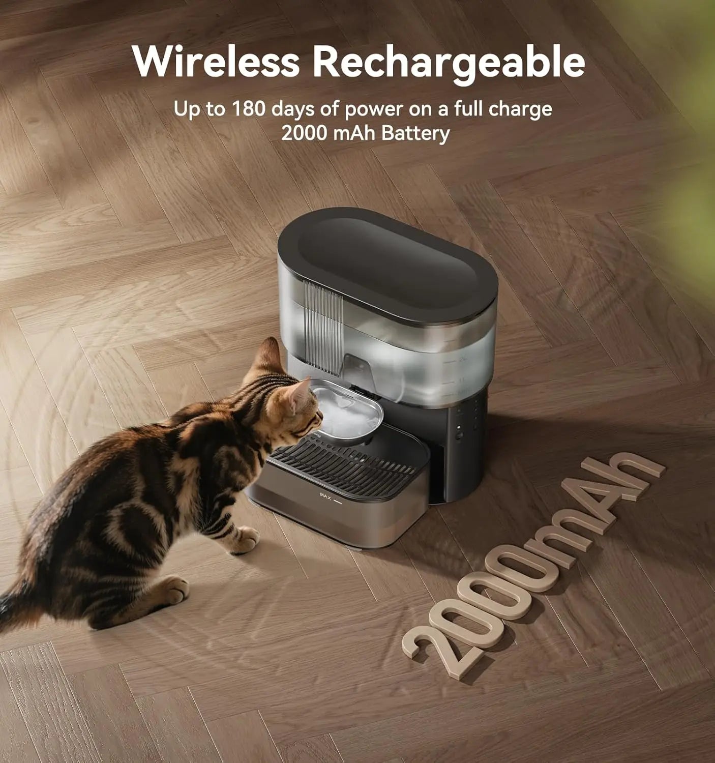Pet Water Fountain Wastewater Separation Stainless Steel Bowl For Cats And Dogs