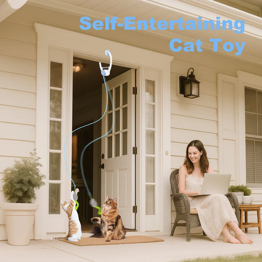 Cat Toy Electric Door Rechargeable Kitten Toy