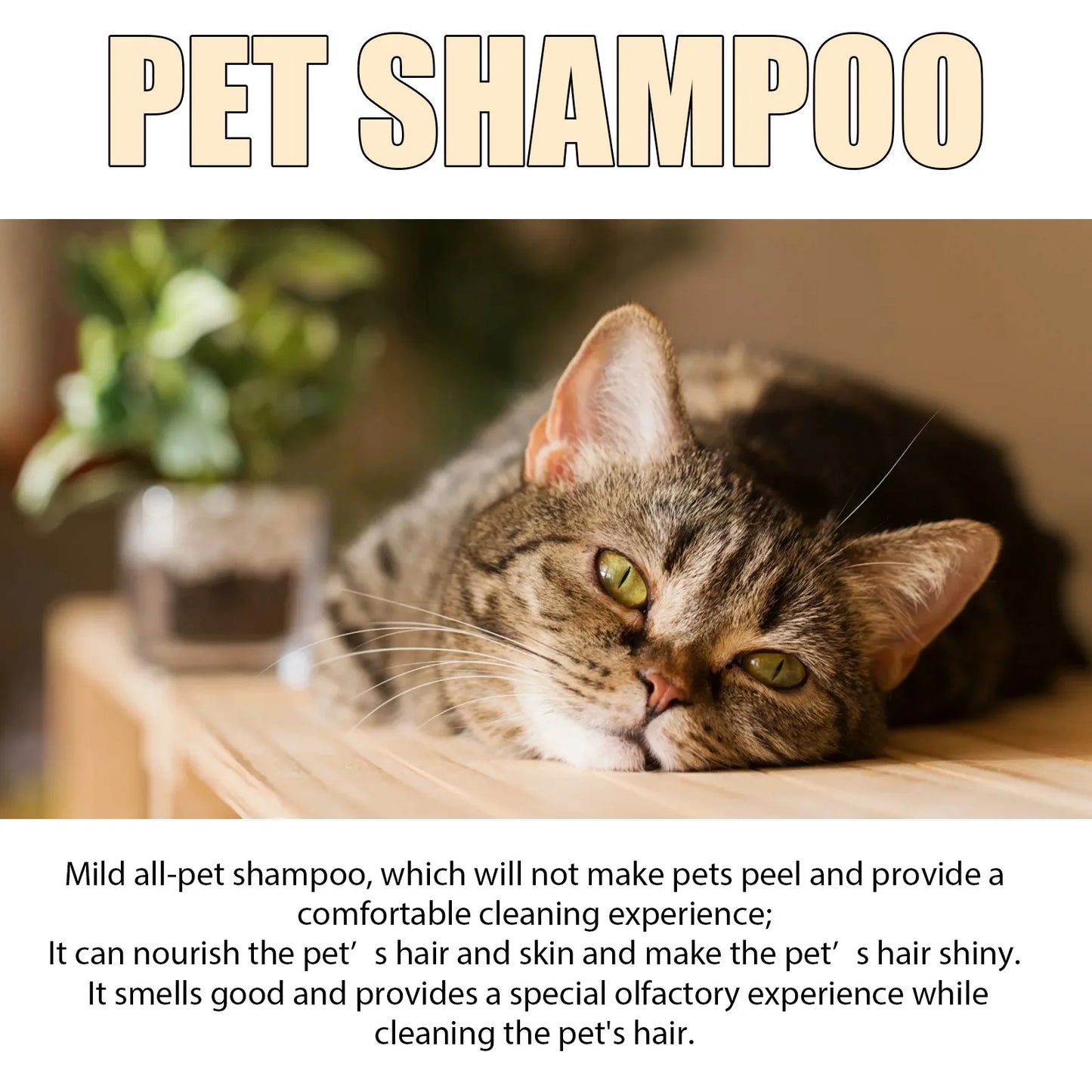 Dog Wash Shampoo Flea & Mite Killer Dirt Removal