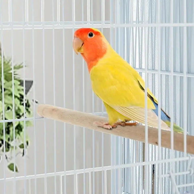 Parrot Playstand With Wheels Bird Cage Stand And Ladder