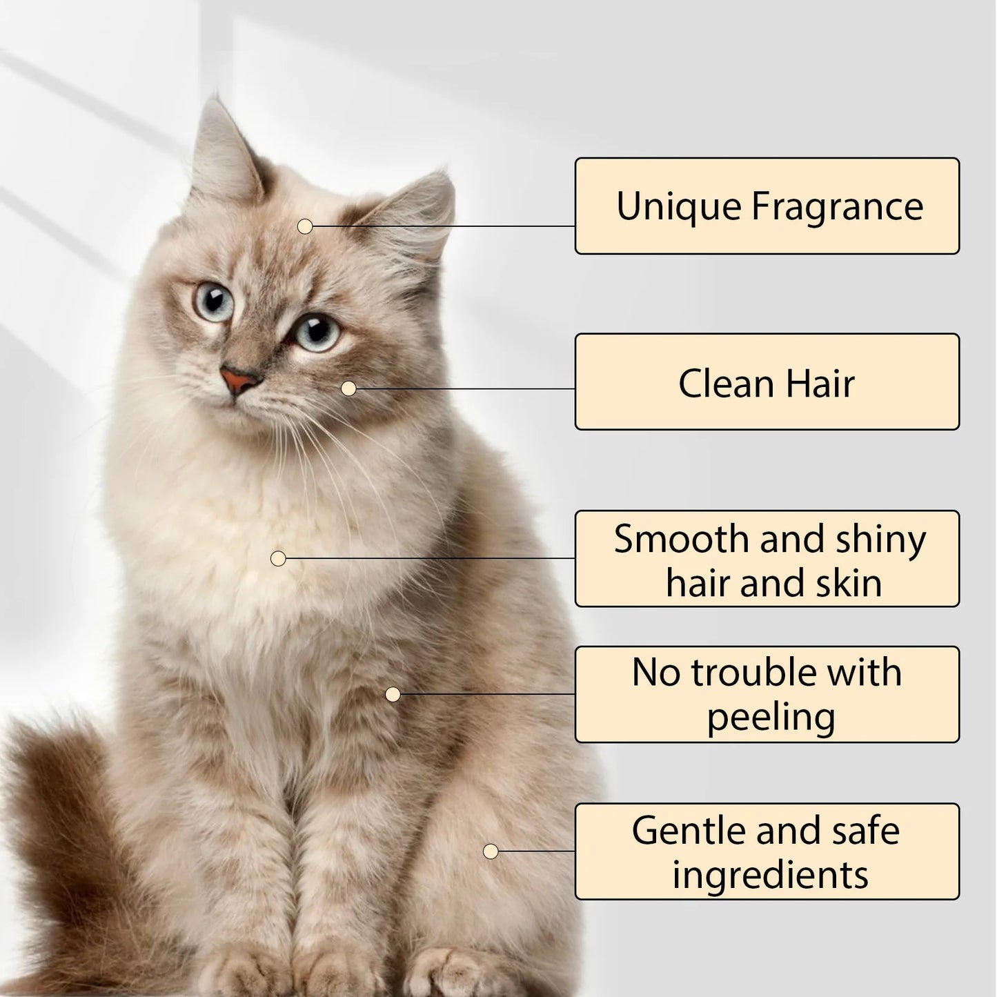 Dog Wash Shampoo Flea & Mite Killer Dirt Removal