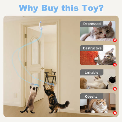 Cat Toy Electric Door Rechargeable Kitten Toy