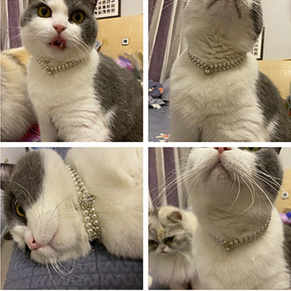 Luxury Pearl Rhinestone Pet Collar Necklace For Pets